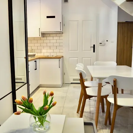 Pod Srebrnym Jeleniem Appartement