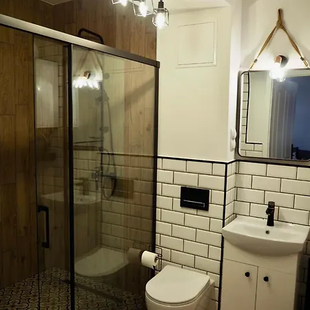 Pod Srebrnym Jeleniem Apartment *