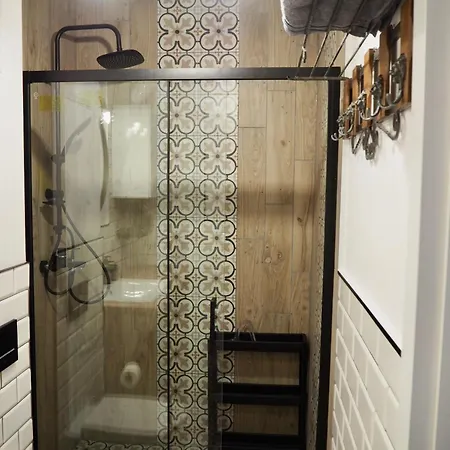 Pod Srebrnym Jeleniem Apartment *